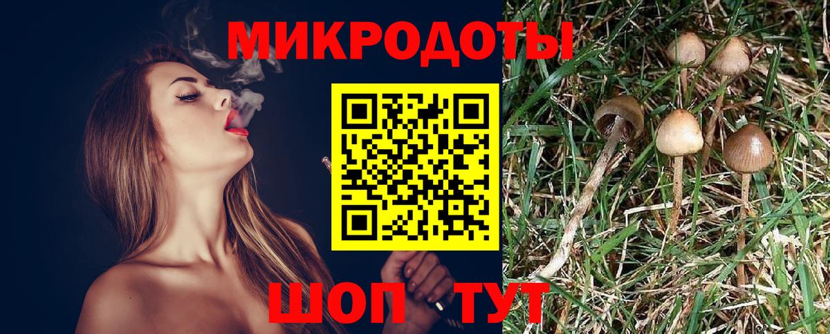 Псилоцибиновые грибы Cubensis Йошкар-Ола