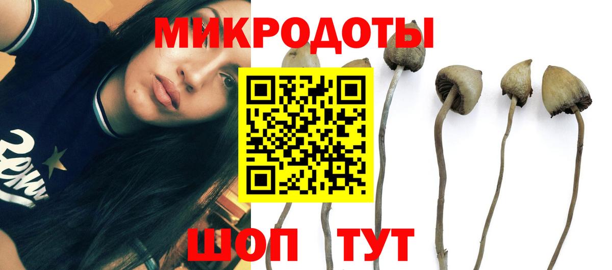 Йошкар-Ола  Псилоцибиновые грибы мухоморы  Псилоцибиновые грибы Cubensis  Вход с VPN 
